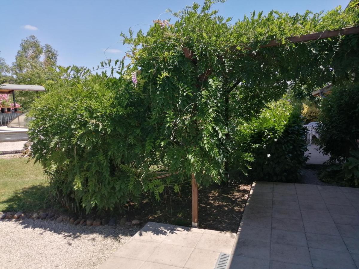 Gite 4, Domaine Logis Gascogne Saint-Justin (Midi-Pyrenees) Exterior foto